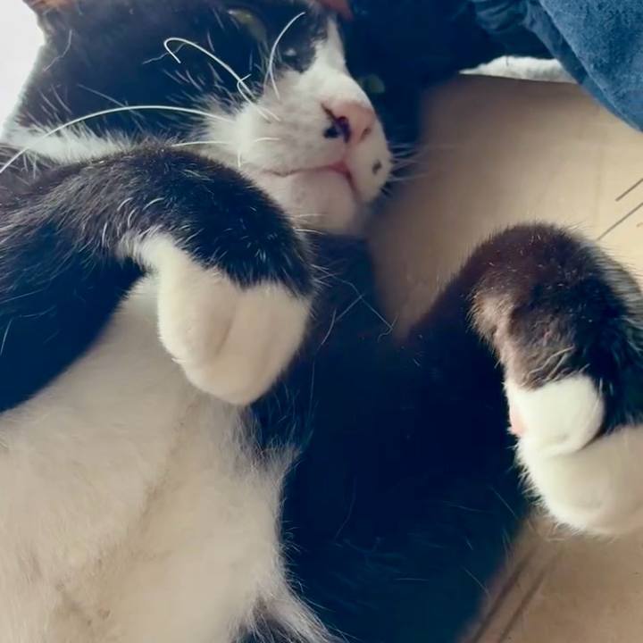 0ee1d792 fc2d 4259 84df 9e7a19481202 1765369955556