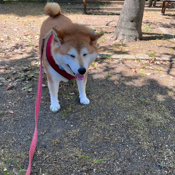 0ee22739 1268 4669 ab4b 5465f0dd7f64 1690950437857