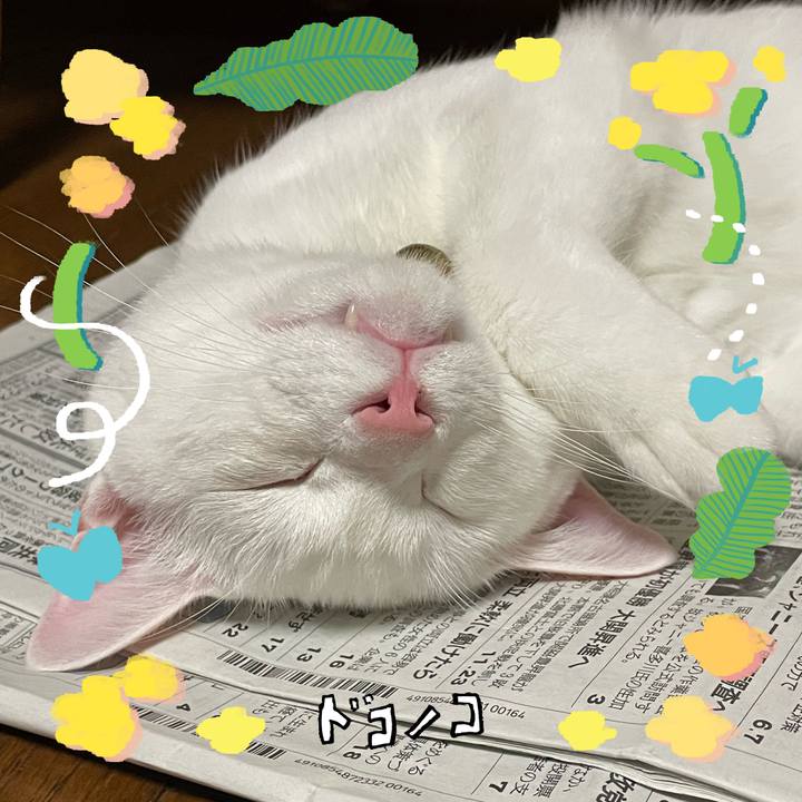 0ee2475b fb69 475a 9d98 83548659db50 1744363262246