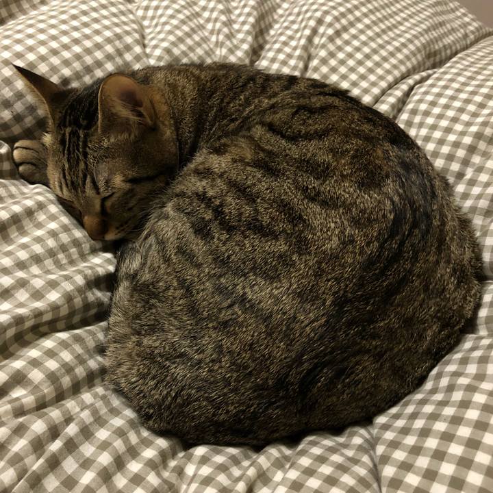 0ee2522c 46e8 4198 aa8d 70cf1ee2bec5 1520392037538