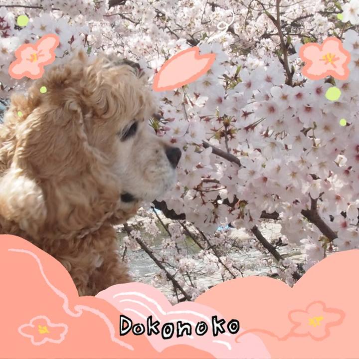 0ee25398 e6da 4f18 aaf2 cfc1f0cfbd37 1775290237330