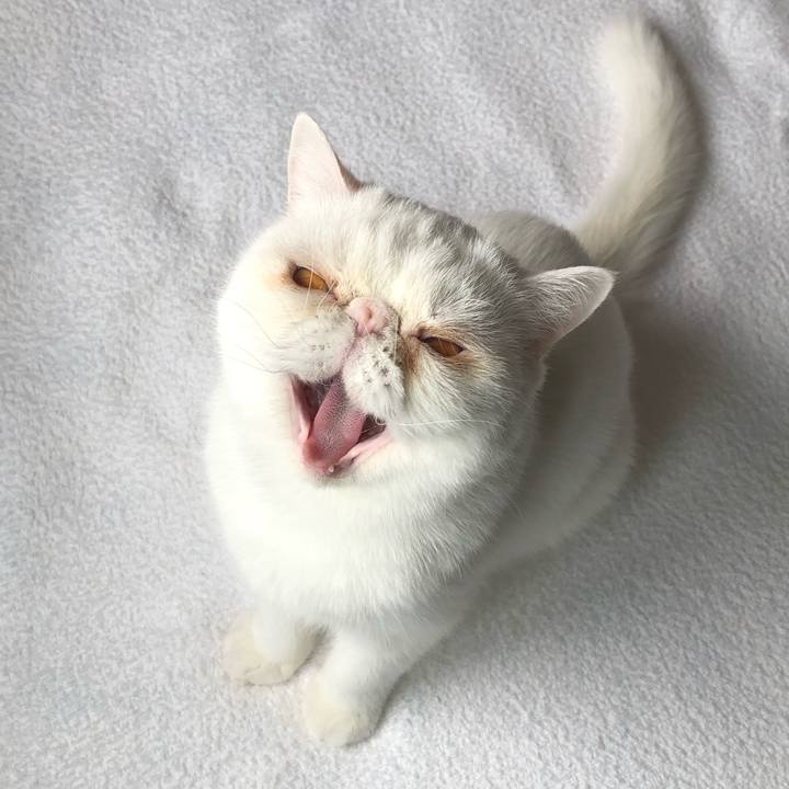 0ee28d17 1cb6 4933 9482 be1d96138ade 1619308957477