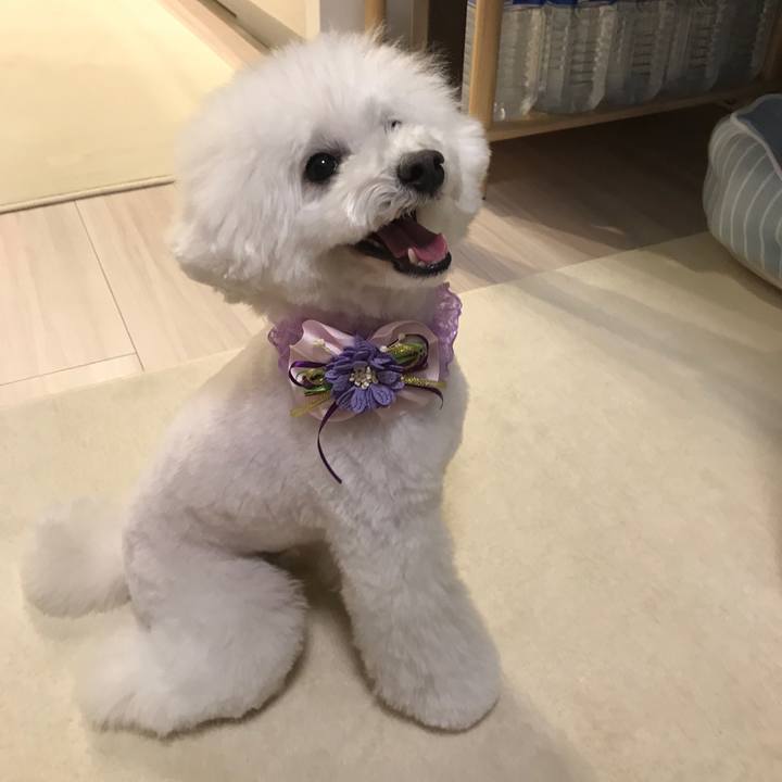 0ee2b466 c200 4ddf b83e ac5b787e63c0 1550735162406