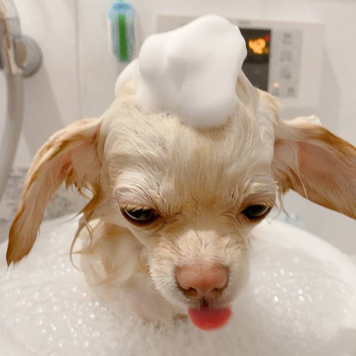 0ee2eaf4 5df5 4c06 be38 9ef54005d901 1616211374570