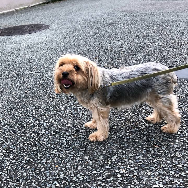 0ee30051 4b98 48a2 845a 2473e3eccb95 1613227924552