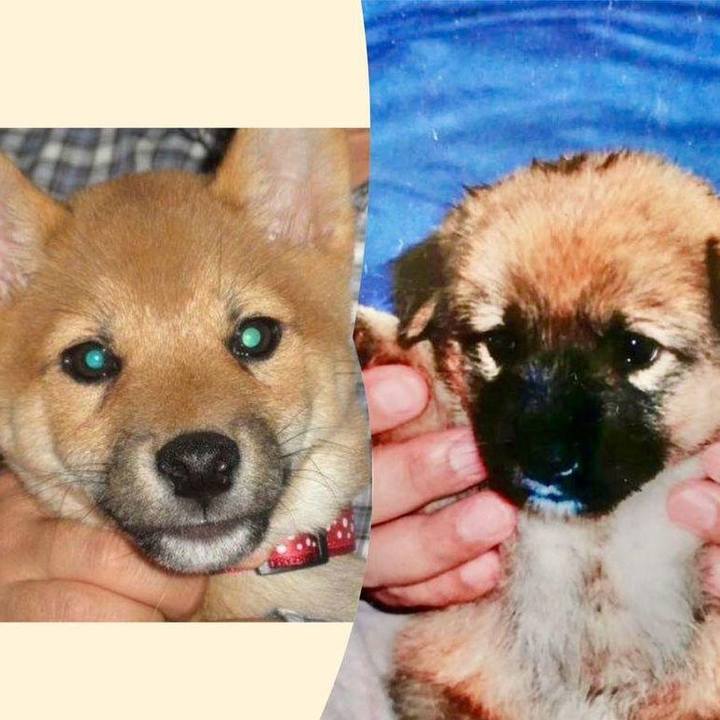 0ee31dea c5dc 42d9 a537 594109aa4acd 1691319582392