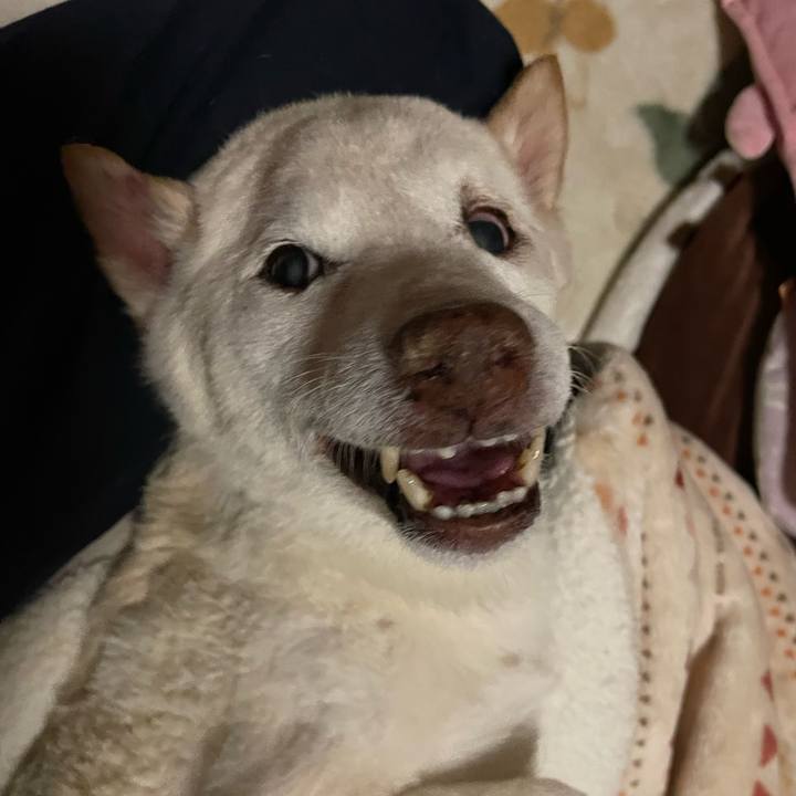 0ee32af7 f70e 4c09 9b74 7d228367b606 1676953822345