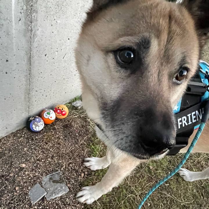 0ee32c1e c468 47ea b12a 12d320d86b45 1707481621162