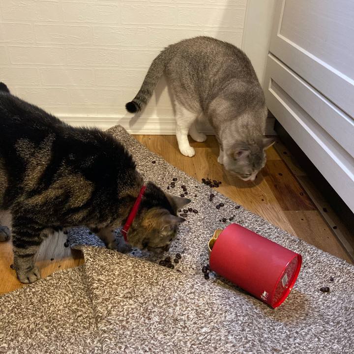 0ee32c36 90a1 431f 892b f90b84fc3097 1591519244056