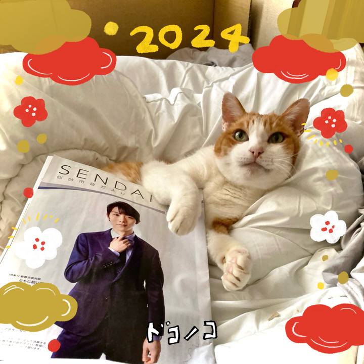 0ee34087 8f8b 4aed b0da 7a250121febf 1704092018666