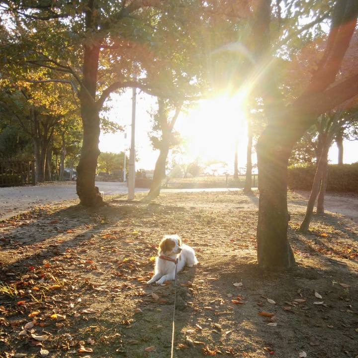 0ee3431e 352d 4253 9714 6e82e737c505 1541493275675