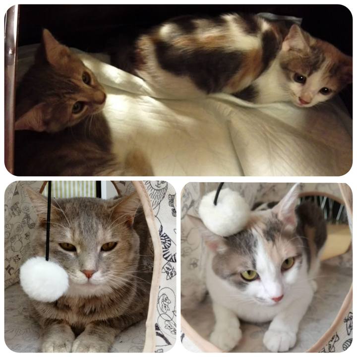 0ee35110 b242 4ffd bd68 1ddb07de1535 1534158700677