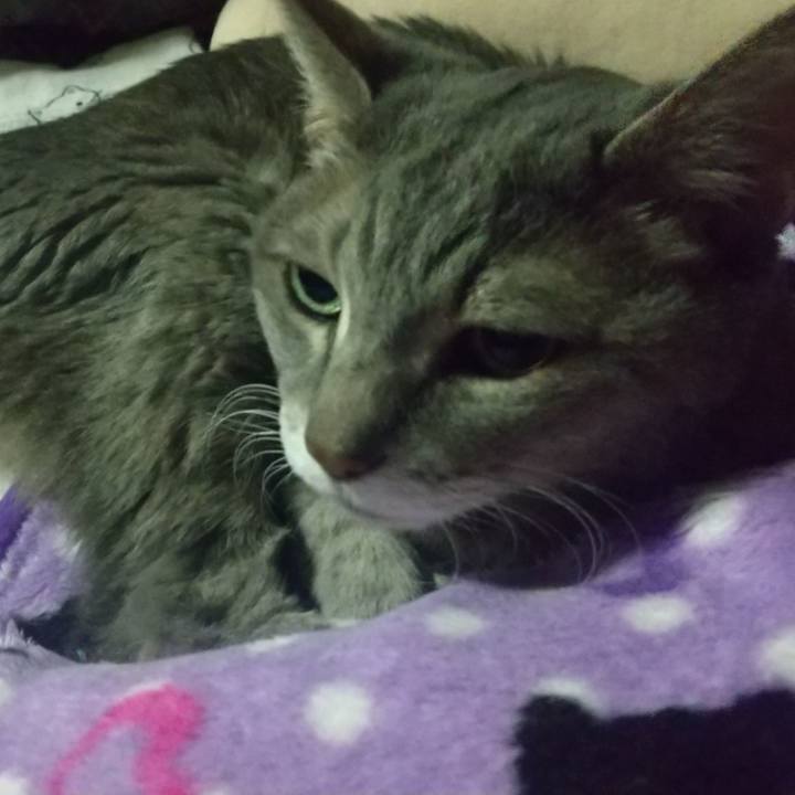 0ee36d8f 2c5b 459a b723 cecb7a06e7f8 1698443678420