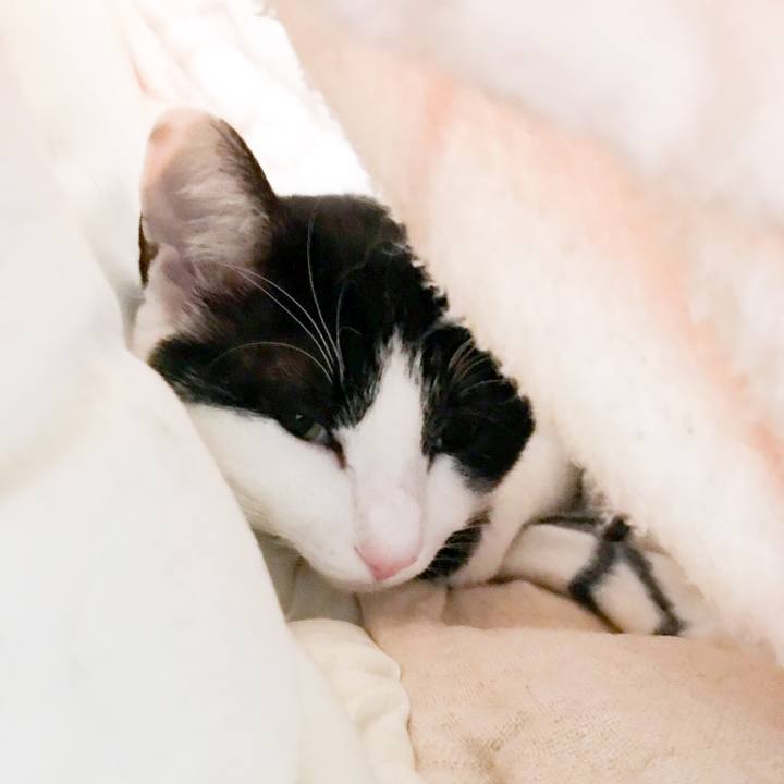 0ee37f3f 4186 4138 802e 27e66632f2cb 1521078028513