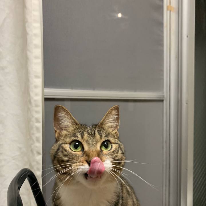 0ee38df1 547c 4b21 b1fc 79deb3bfd288 1560775238921