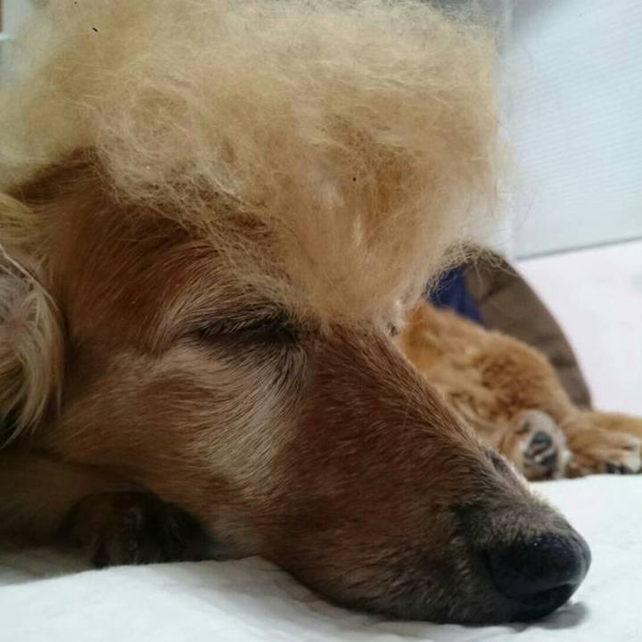 0ee39a30 9b10 45c4 ab7c 27534ac710d8 1725898313494