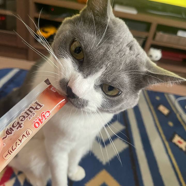 0ee3b359 1006 4e18 b149 2b488b63c01f 1664865343441