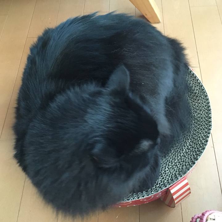 0ee3ce62 7eac 49dd 8beb 1d23129a504b 1543808103033