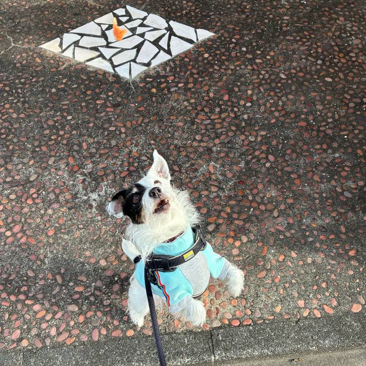 0ee3ddf6 11ca 4065 88dc a367263f2fa7 1761606516969