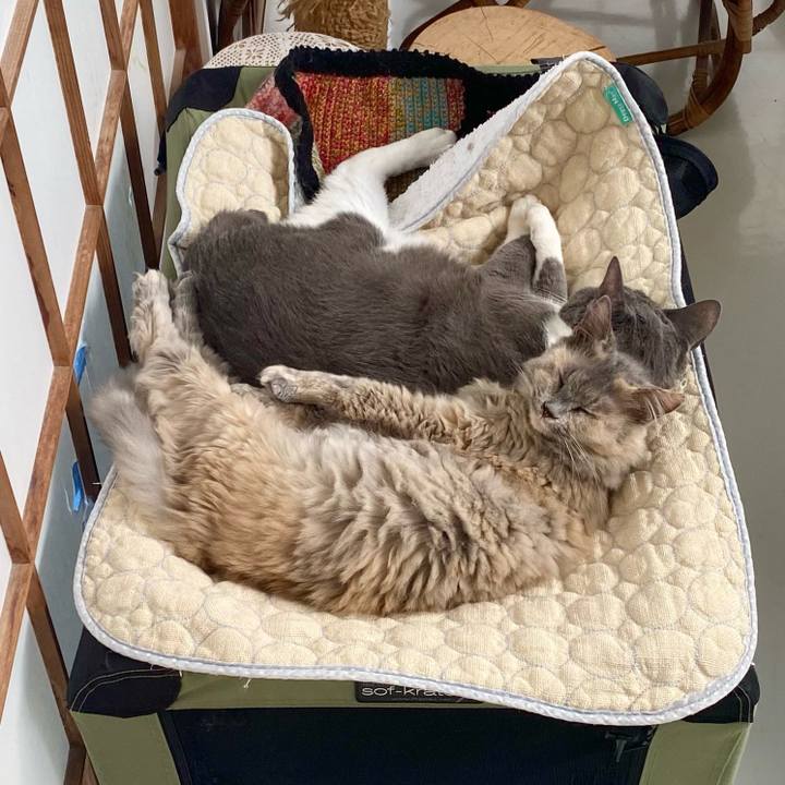 0ee3f317 8baf 40c8 8fc3 d730b02dd83d 1760255362825