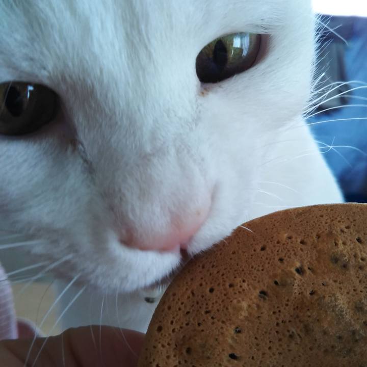 0ee4087f 0b09 4e19 b161 9a1146a6dc28 1617696380129