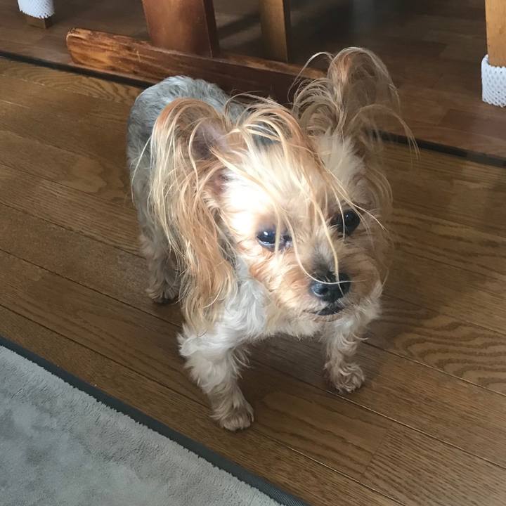 0ee42481 cb5c 488e 9996 337fa5434668 1570355525465