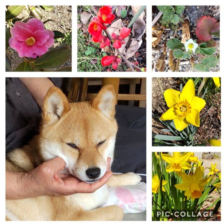 0ee46c60 d923 431f ba4d cc2b58b62219 1647323040743