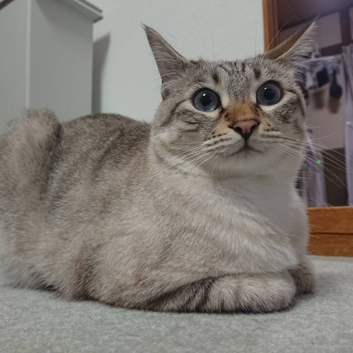 0ee49641 8e8c 4d5e b779 1315d147b0ed 1529487317861