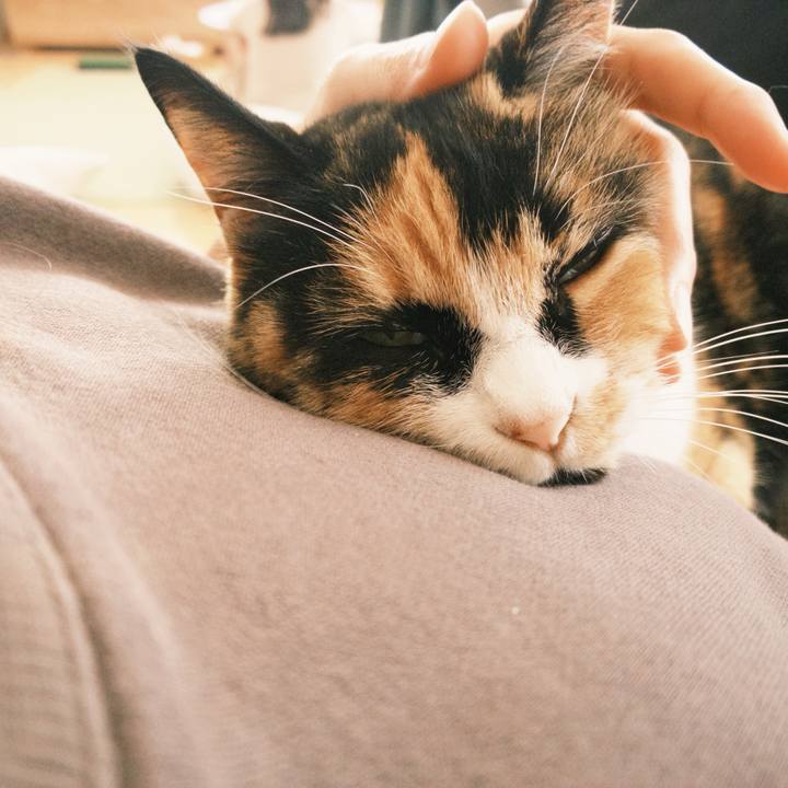 0ee4a64f fb40 41aa 99e8 9cd8df118f58 1758585213318