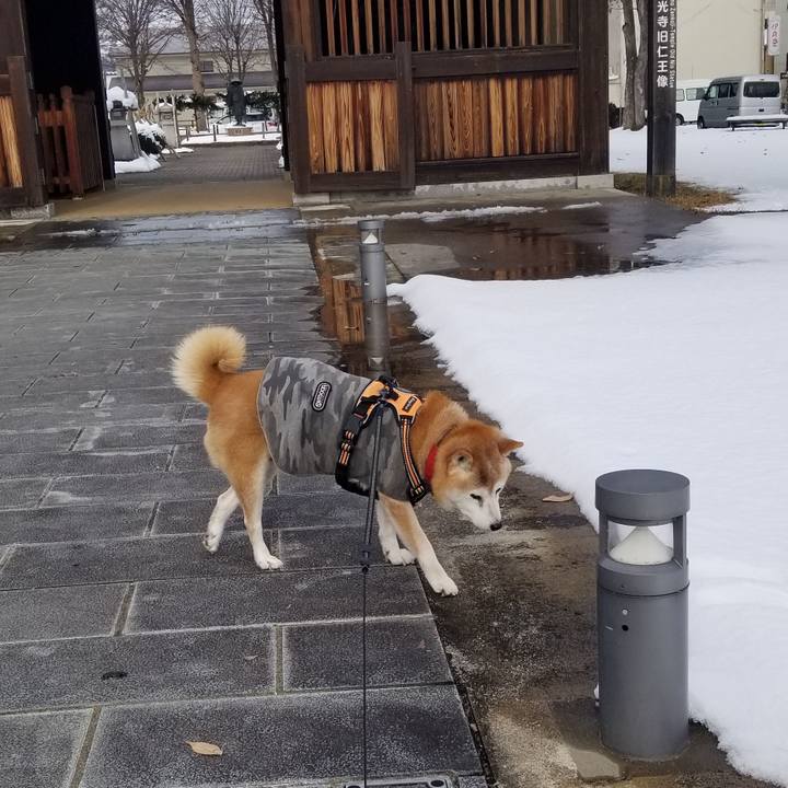 0ee4b73a 182e 4697 b0fe f39dfb964c6f 1734756703543