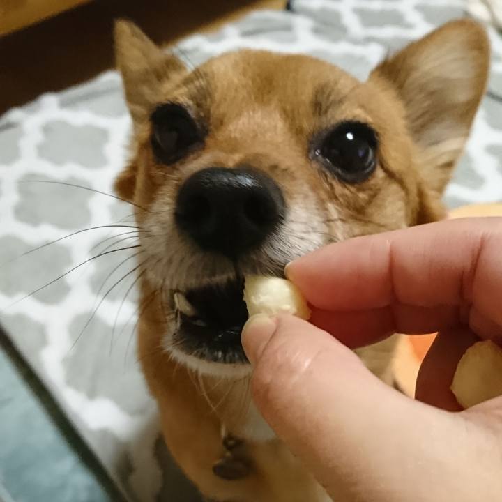 0ee4c980 6546 49fb bcd4 94408f1cf43d 1547210256025