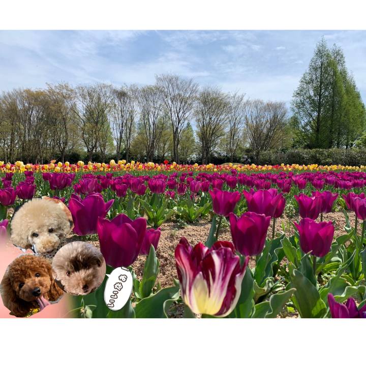 0ee4cd7f f56e 4c12 a3be 6a381f1c0af0 1619072804500