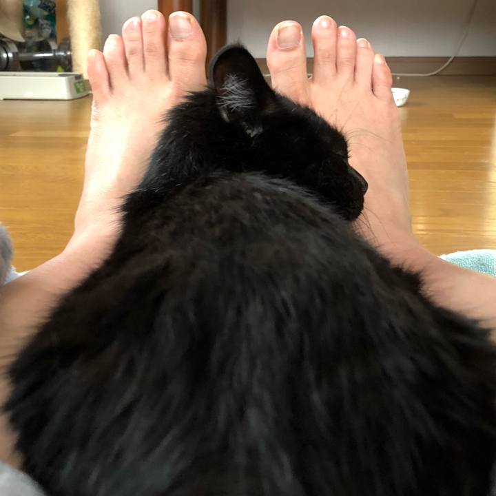 0ee4e6d0 56ae 4aa7 8f30 2d4bfea6ad25 1563089899029