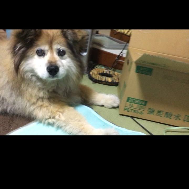 0ee506c9 65e1 4e98 b295 73baadcad357 1583001400074