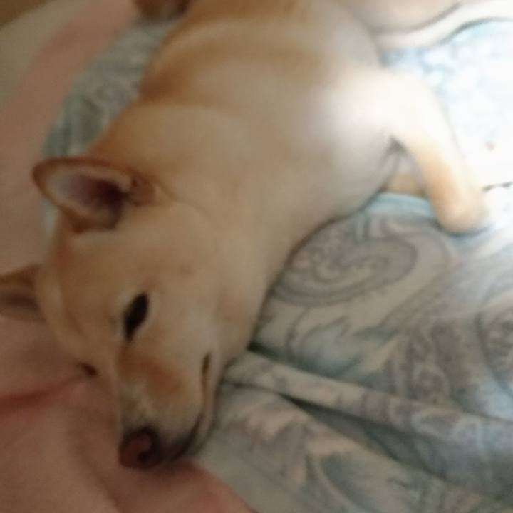 0ee512a6 fa28 4fd9 bb56 78ee7b7fb1cc 1535195251666