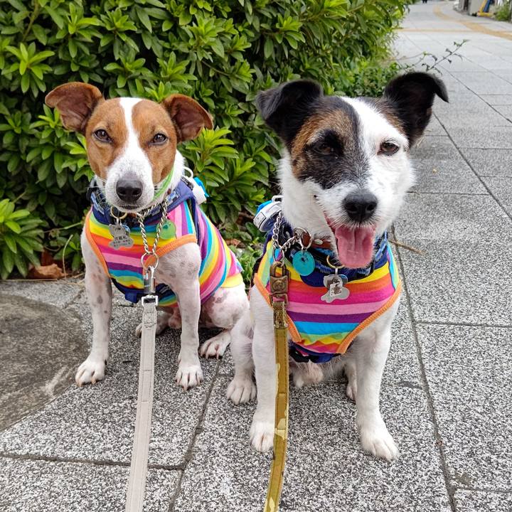 0ee52a5f 7bdb 4410 9b22 94f1a05fa080 1630273181883