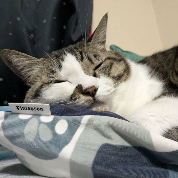 0ee53ebc 9278 48a0 a0b9 7d35329a2092 1738846014938