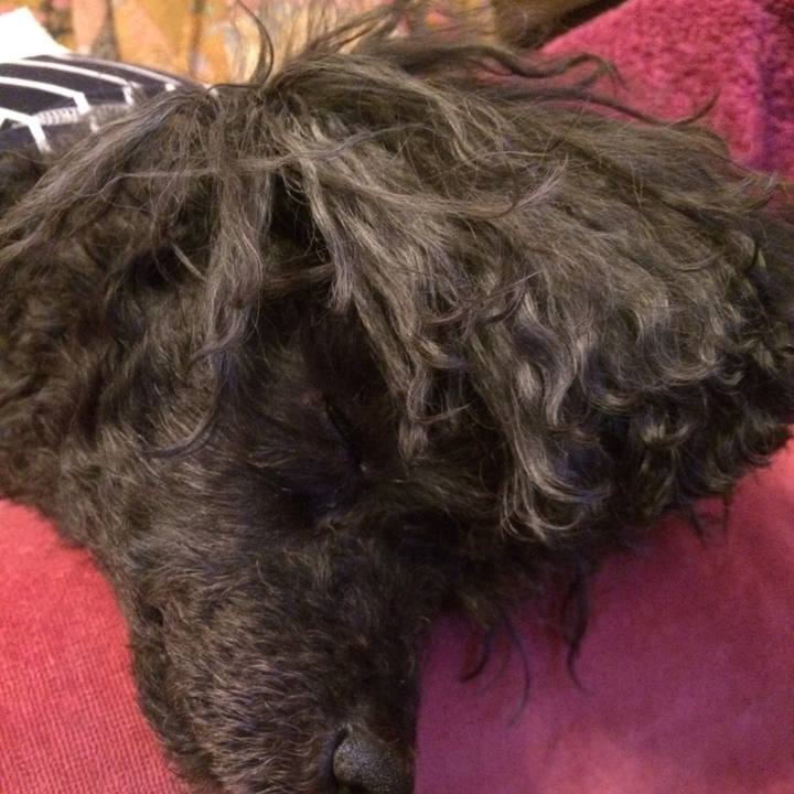 0ee55975 ec1b 47b6 b9fd 5f3bd7ec4fb2 1522413740310