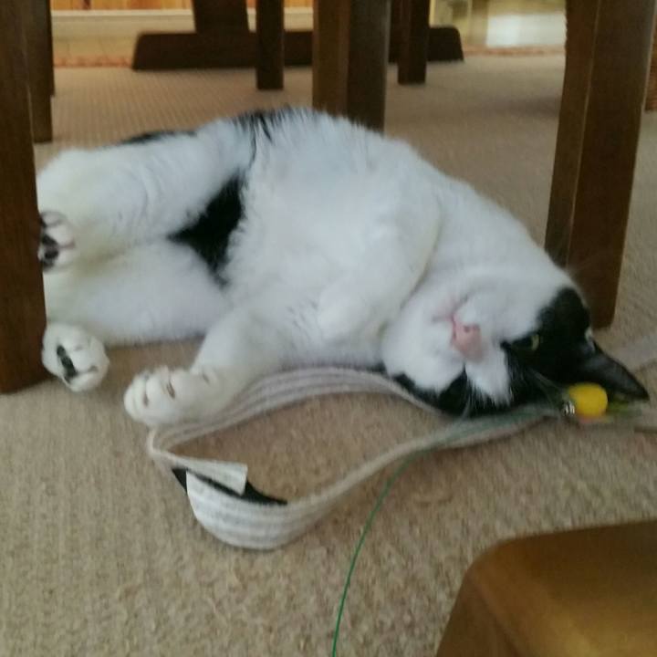 0ee58153 96d1 453e 8458 f660efb70d3d 1548415882008