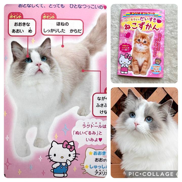 0ee58818 f243 4dad 9b40 1d564ede6a97 1723637491665