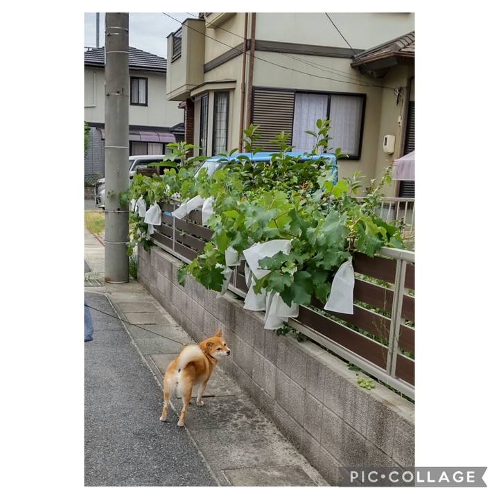 0ee5912e bd03 4ea3 aa6c d49b52ee672a 1719577120761