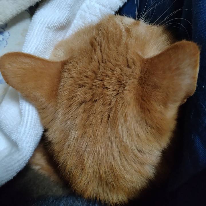 0ee59c1a 75f4 44b0 a37b 293cb693e221 1672663102986