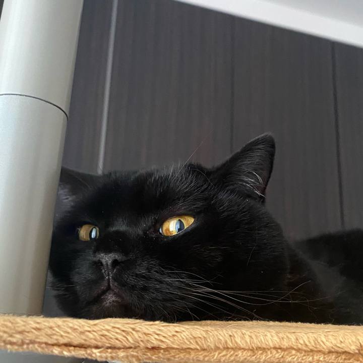 0ee5bb26 5466 4f5c ba8f 9c185bf503eb 1762560243662