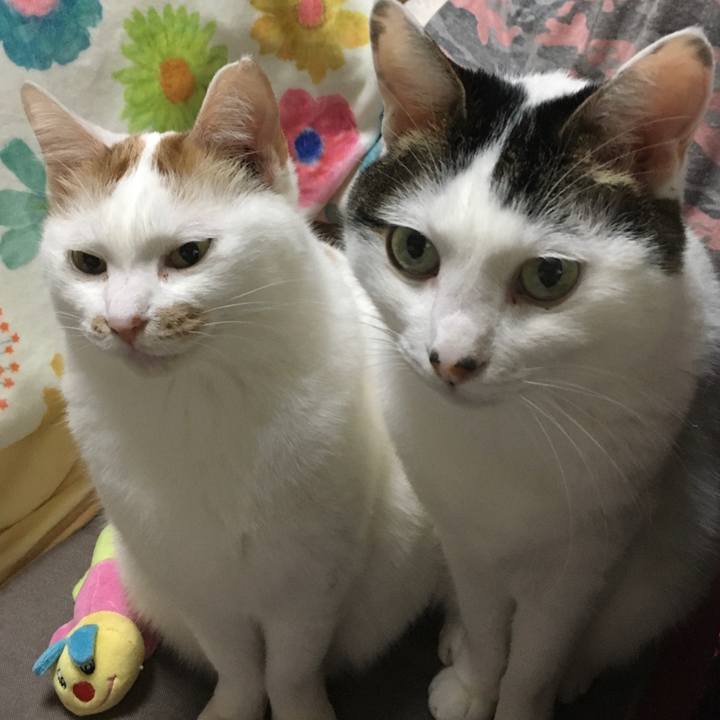 0ee5c051 5e20 433e aa22 08e2ab06a49f 1579323198403