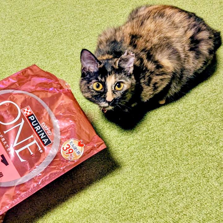 0ee5c701 3cd3 4e3a b8a9 ba3a6d0fcb69 1772379011950