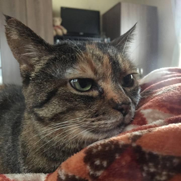 0ee5da12 5ded 47c2 81da ad3f3c7adf68 1516261509261