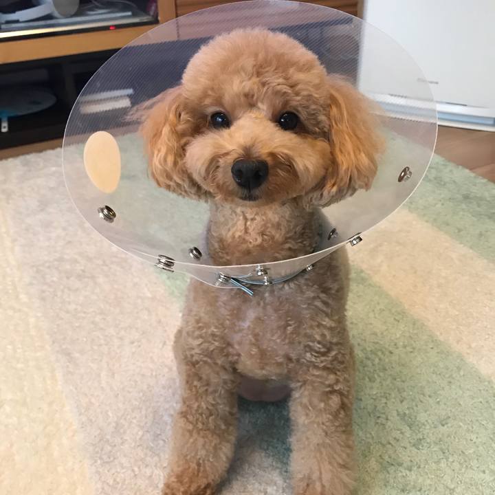 0ee60840 e789 4cdf 943c 4d3b8d9ab861 1530763588402