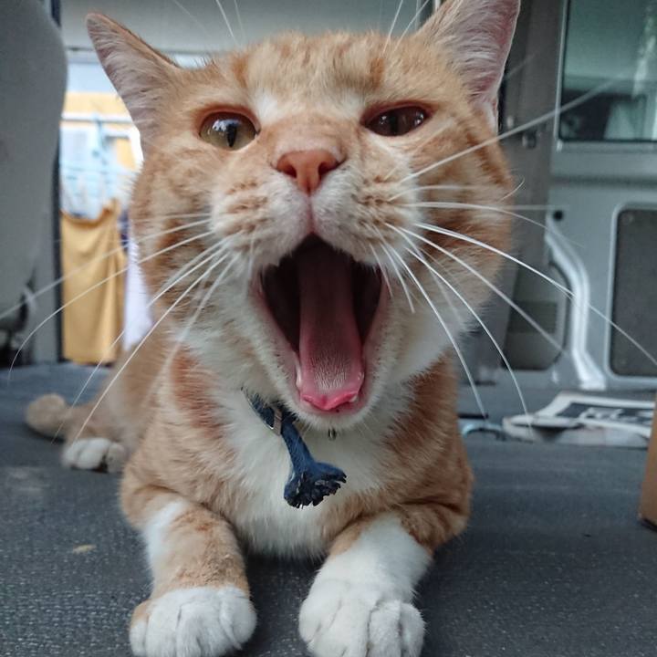 0ee61c21 5dc3 40b1 88b4 9e63df7d2b29 1566034921030