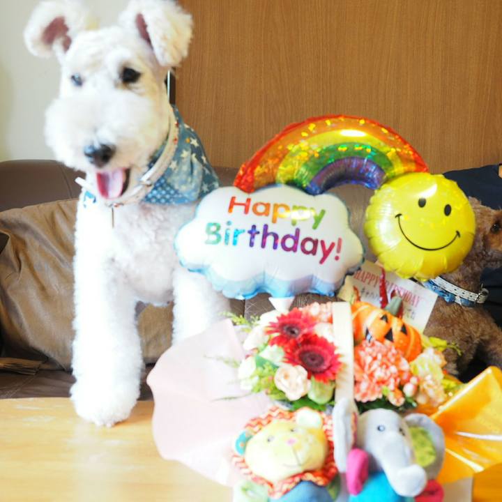 0ee63ed6 3b99 4a3c 81de dea79f2e76e9 1537145835625