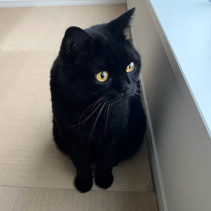 0ee65351 d92b 483f 9297 e8fb064ce8db 1754039164027